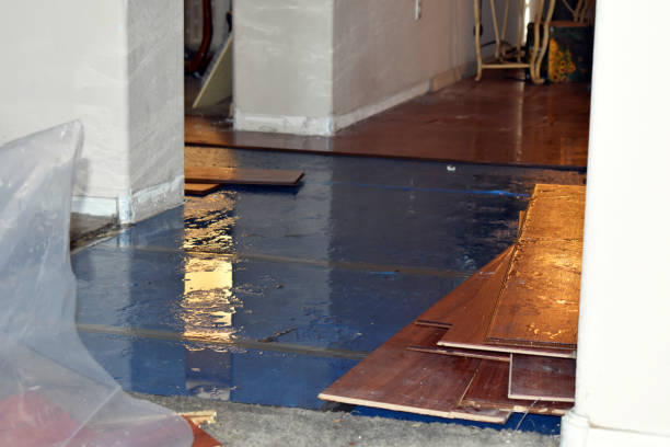 Professional Water Damage Restoration technician working in Roanoke, IL